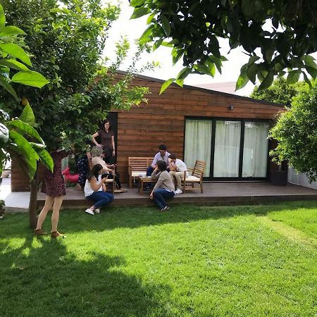 Casa Do Muro Коїмбра Екстер'єр фото